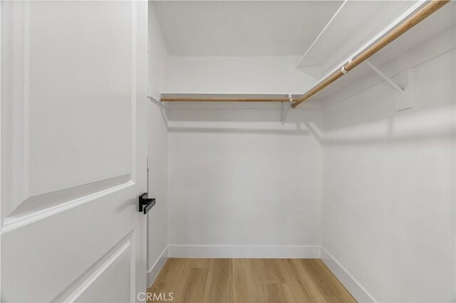 spacious closet featuring light hardwood / wood-style floors