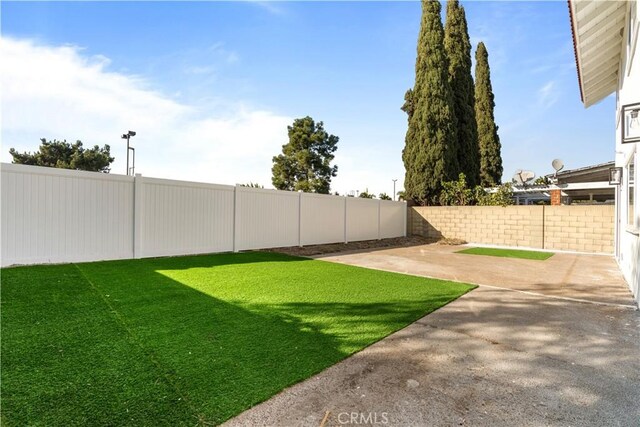 view of yard featuring a patio area