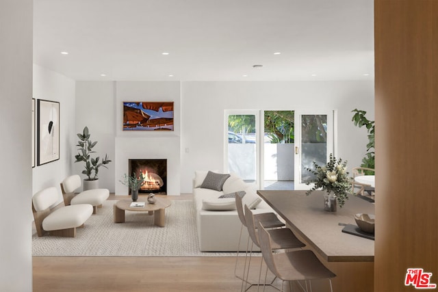 living room featuring light hardwood / wood-style flooring