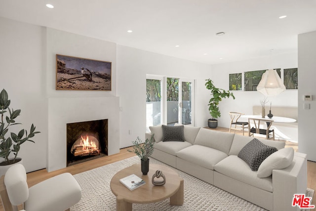 living room featuring light hardwood / wood-style flooring