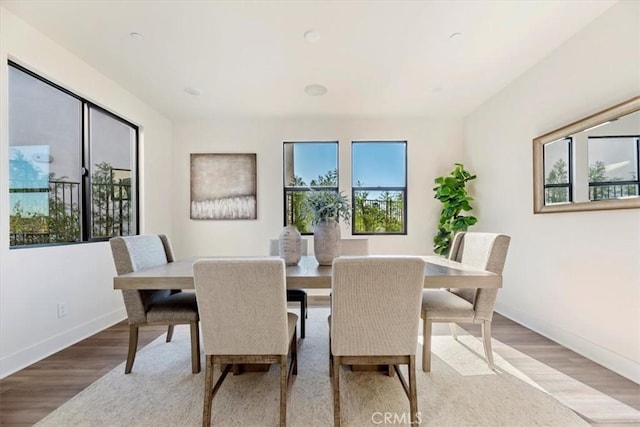 dining space featuring hardwood / wood-style floors