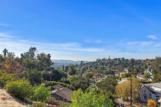 939 N Staley Ln, Los Angeles, CA 90042 - photo 38