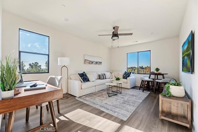 living room featuring ceiling fan and wood-type flooring