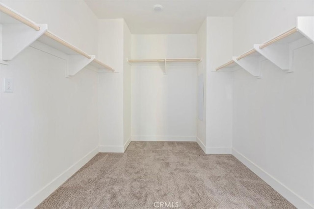 spacious closet featuring light carpet