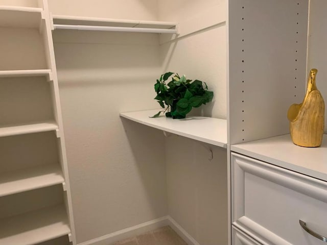 view of walk in closet