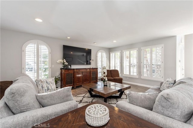 living room featuring hardwood / wood-style floors