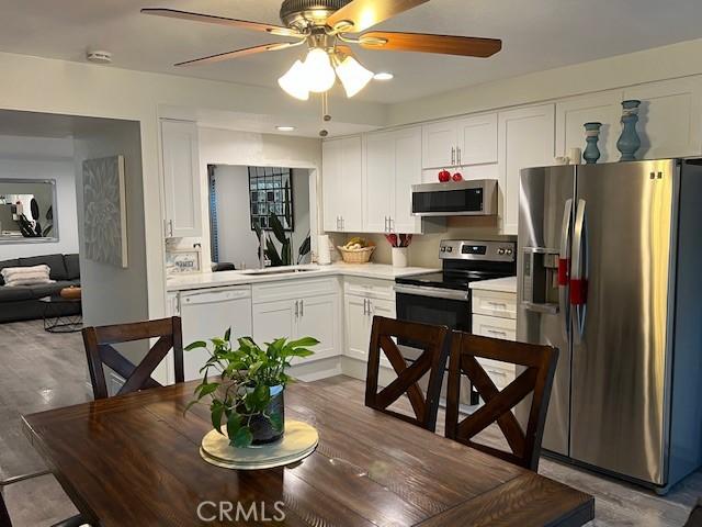 kitchen with ceiling fan, sink, white cabinetry, and appliances with stainless steel finishes