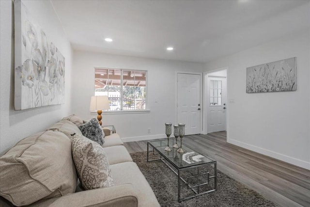 living room featuring hardwood / wood-style flooring