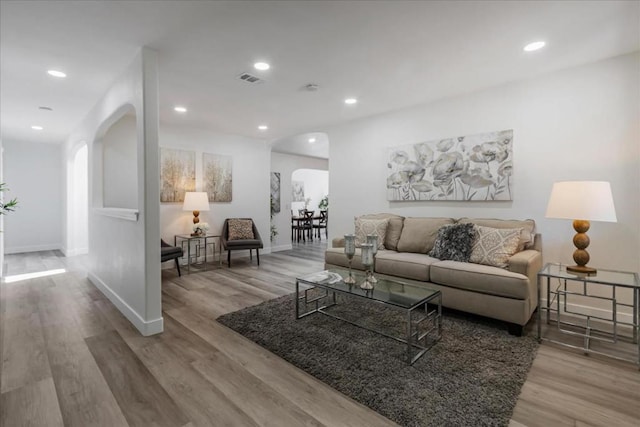 living room featuring wood-type flooring