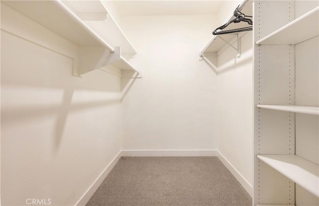 spacious closet featuring light colored carpet