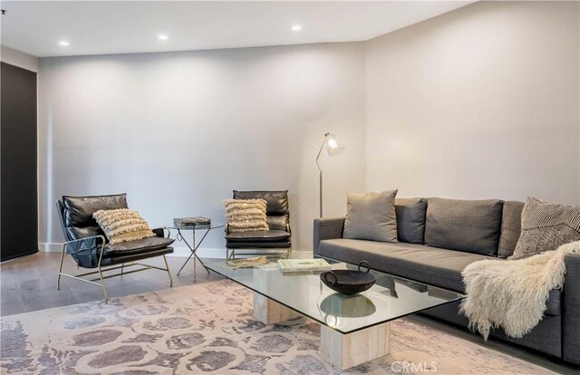 living room featuring hardwood / wood-style floors