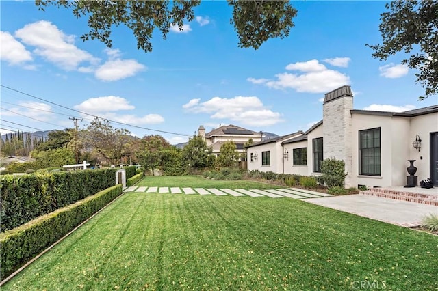 view of yard featuring a patio area