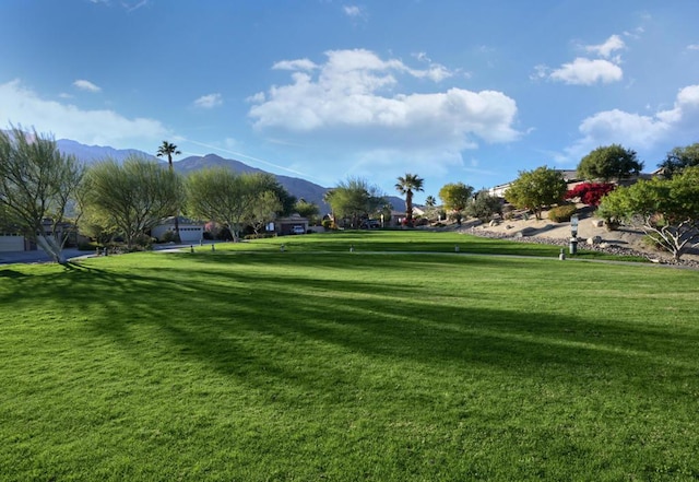 view of property's community featuring a mountain view and a yard