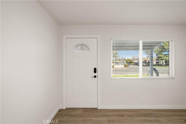 foyer with wood-type flooring