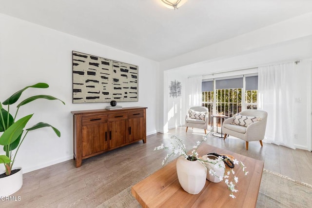 living room featuring light hardwood / wood-style flooring