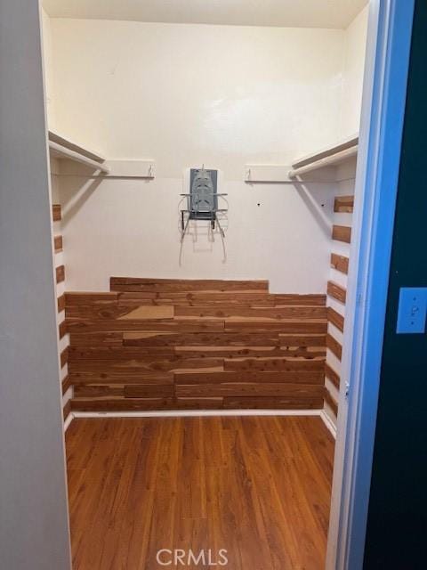 spacious closet featuring hardwood / wood-style flooring