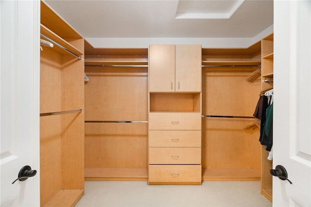 view of walk in closet