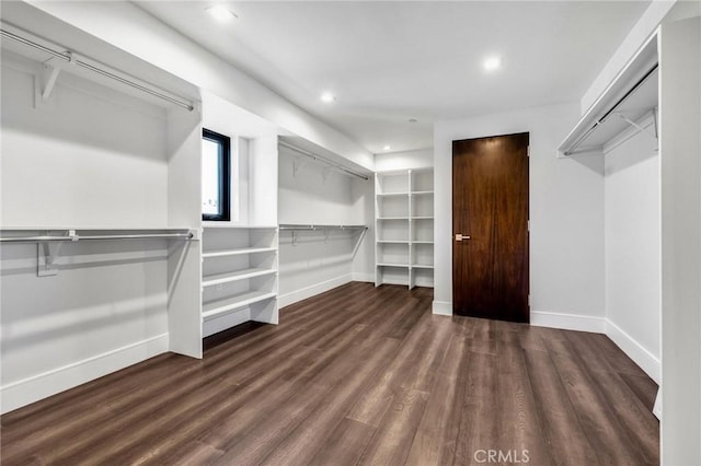 walk in closet with dark hardwood / wood-style flooring