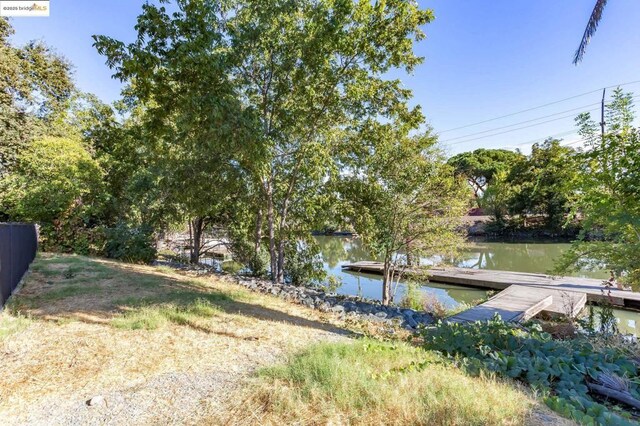 view of yard with a water view and a boat dock