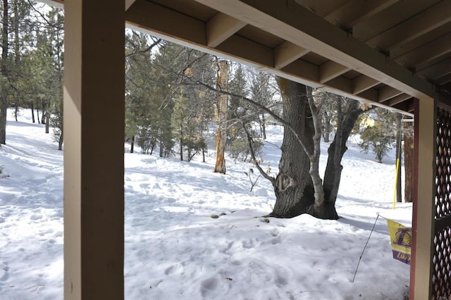 view of yard covered in snow