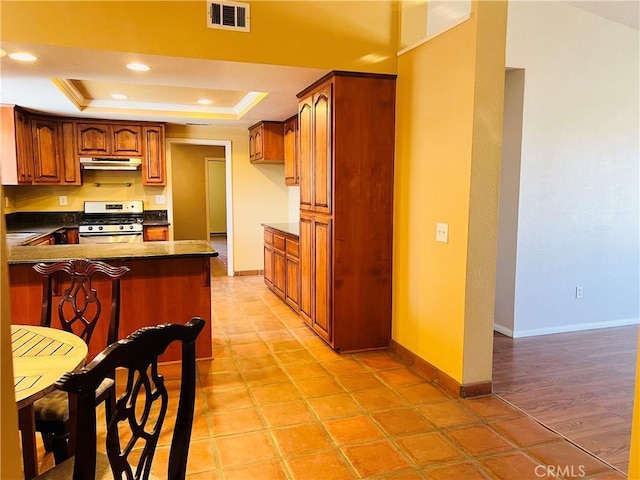 kitchen featuring stainless steel range, crown molding, kitchen peninsula, and a tray ceiling