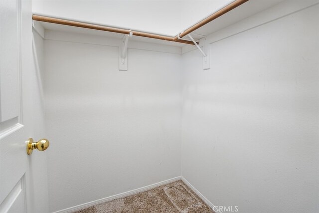 walk in closet with carpet flooring