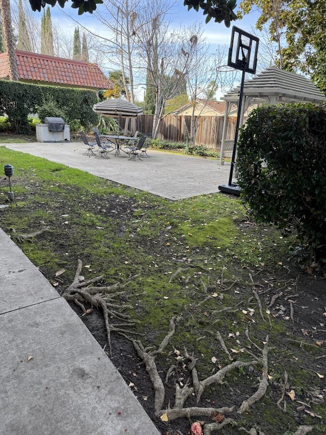 view of yard with a patio