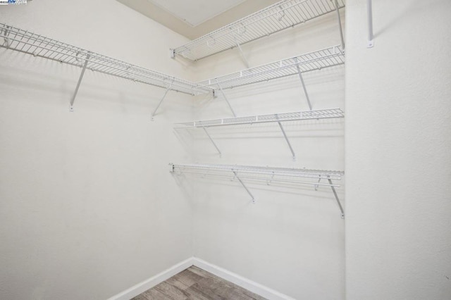 walk in closet with hardwood / wood-style flooring