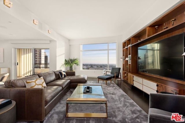 living room with dark hardwood / wood-style floors