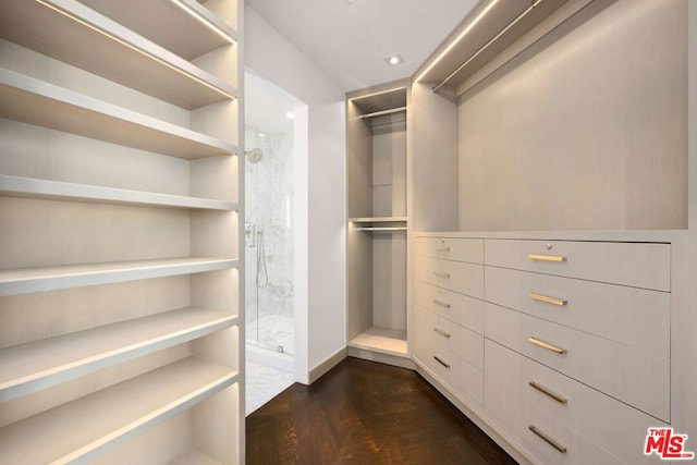 walk in closet featuring dark wood-type flooring