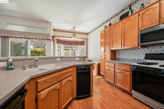 kitchen with sink, range with gas stovetop, black dishwasher, and light hardwood / wood-style floors