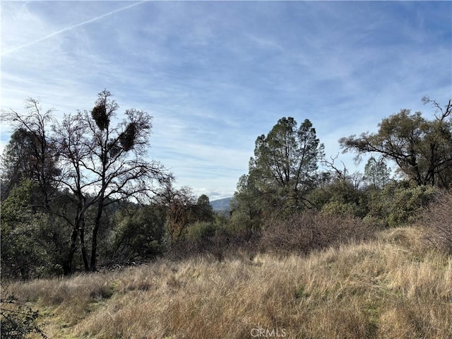 Listing photo 2 for 0 Daffodil Dr, Mariposa CA 95338