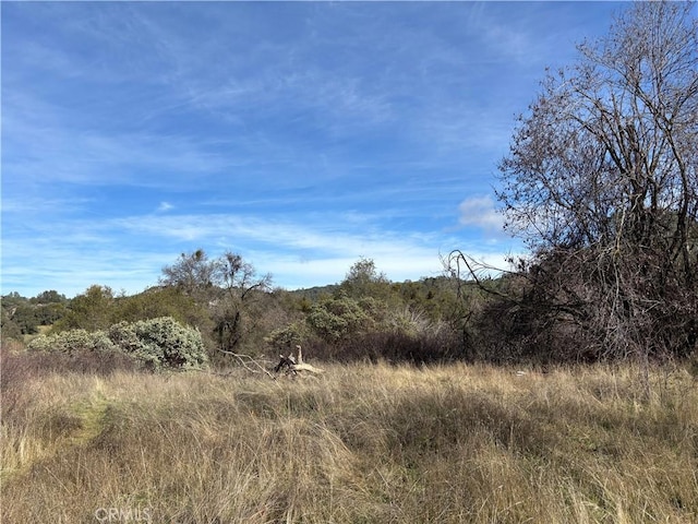 0 Daffodil Dr, Mariposa CA, 95338 land for sale