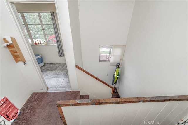 stairs featuring carpet floors