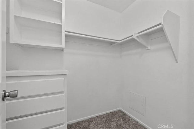 walk in closet featuring carpet floors