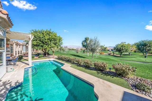 view of pool with a pergola, a yard, and a patio