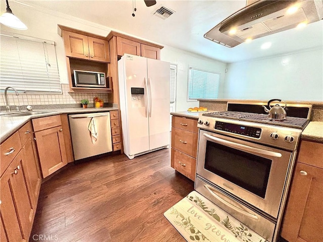 kitchen featuring decorative light fixtures, exhaust hood, sink, stainless steel appliances, and dark hardwood / wood-style flooring