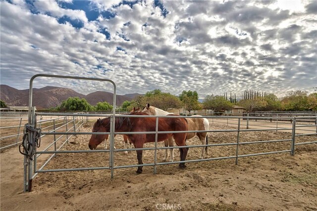 view of horse barn featuring a mountain view and a rural view