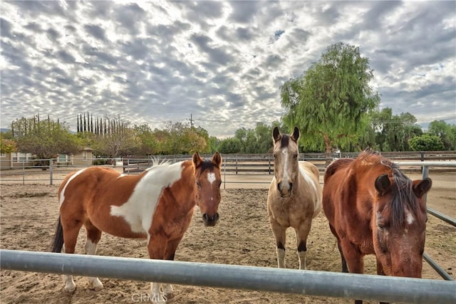 view of stable featuring a rural view