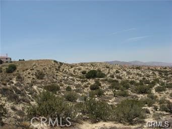 Listing photo 3 for 0 Alida Ln, Palmdale CA 93552