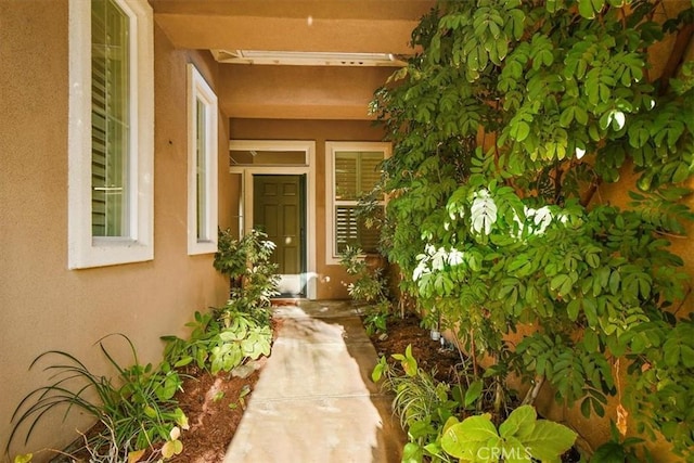 entrance to property featuring stucco siding