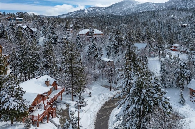 snowy aerial view featuring a mountain view