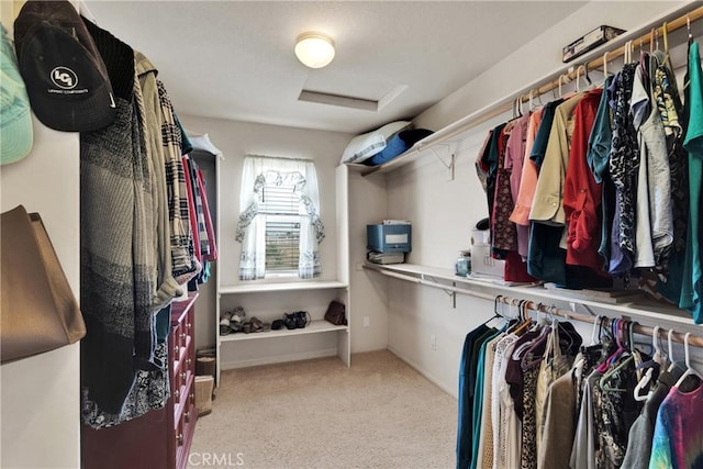 spacious closet featuring light carpet