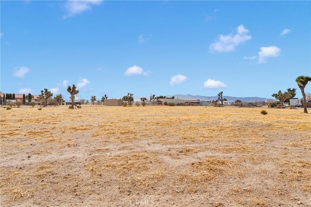 view of local wilderness featuring a rural view