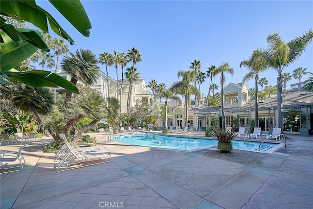 view of pool featuring a patio