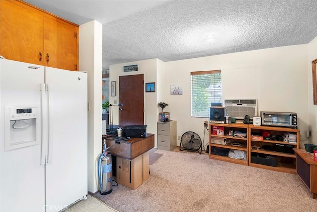 miscellaneous room with light colored carpet and a textured ceiling