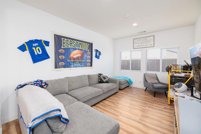 living room with wood-type flooring