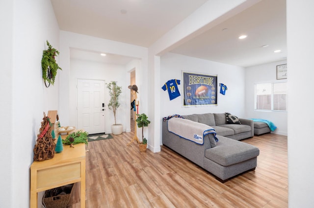 living room featuring hardwood / wood-style floors