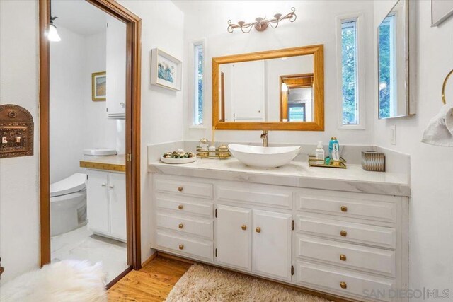 bathroom featuring wood-type flooring, toilet, and vanity