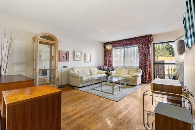 living room featuring light wood-type flooring